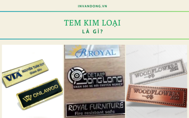 Tem Kim Loại Là Gì